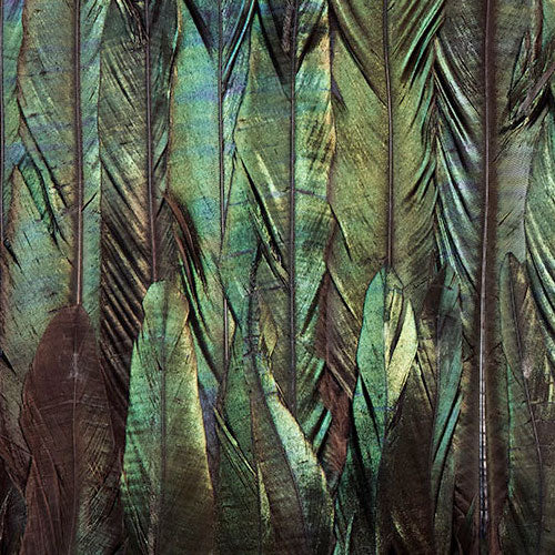 Digitaldruck Vlies Fototapete | Dark Wings | 200 x 250 cm
