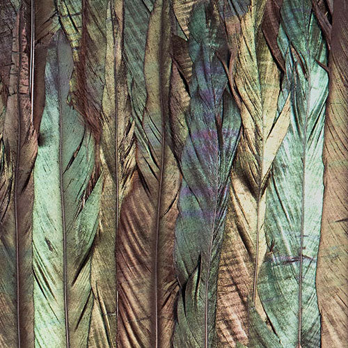 Digitaldruck Vlies Fototapete | Dark Wings | 200 x 250 cm