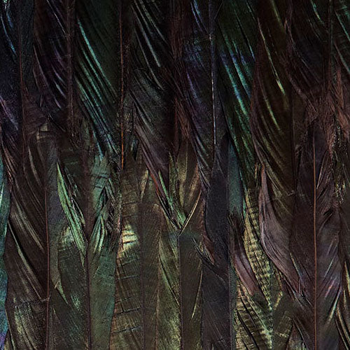 Digitaldruck Vlies Fototapete | Dark Wings | 200 x 250 cm