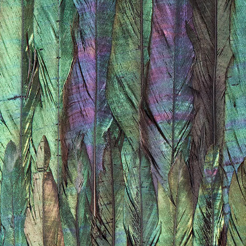 Digitaldruck Vlies Fototapete | Dark Wings | 200 x 250 cm