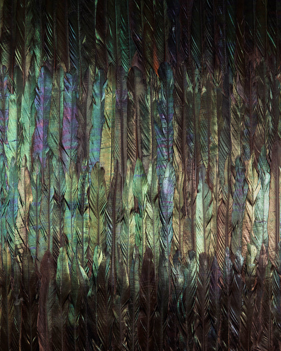 Digitaldruck Vlies Fototapete | Dark Wings | 200 x 250 cm