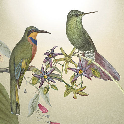 Digitaldruck Vlies Fototapete | Wildlife Birds | 200 x 250 cm