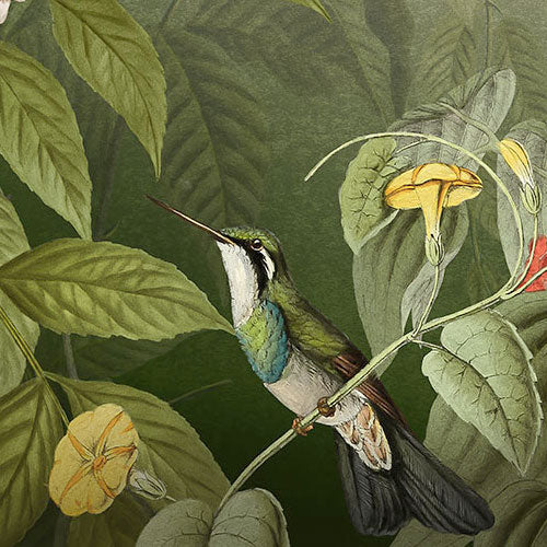 Digitaldruck Vlies Fototapete | Wildlife Birds | 200 x 250 cm