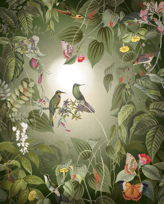 Digitaldruck Vlies Fototapete | Wildlife Birds | 200 x 250 cm