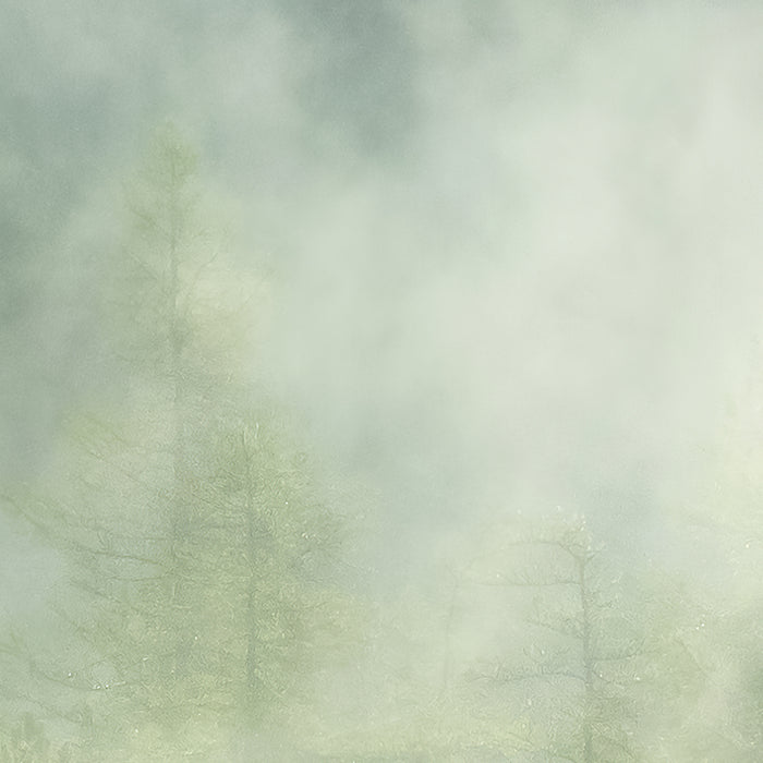 Digitaldruck Vlies Fototapete | Misty Crowns | 350 x 250 cm