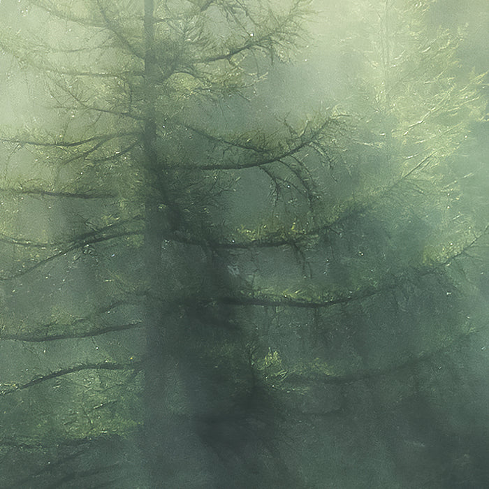 Digitaldruck Vlies Fototapete | Misty Crowns | 350 x 250 cm