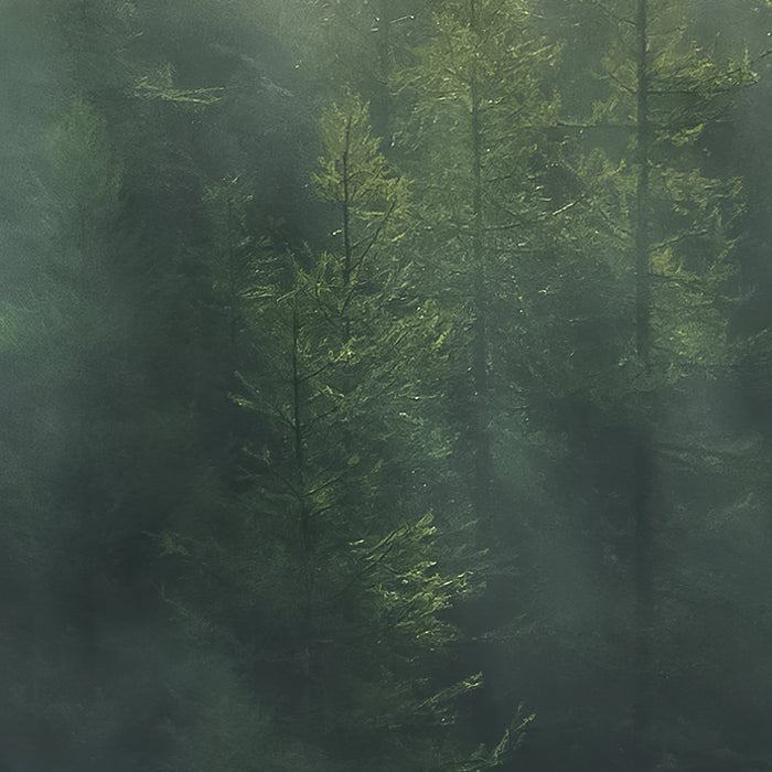 Digitaldruck Vlies Fototapete | Misty Crowns | 350 x 250 cm