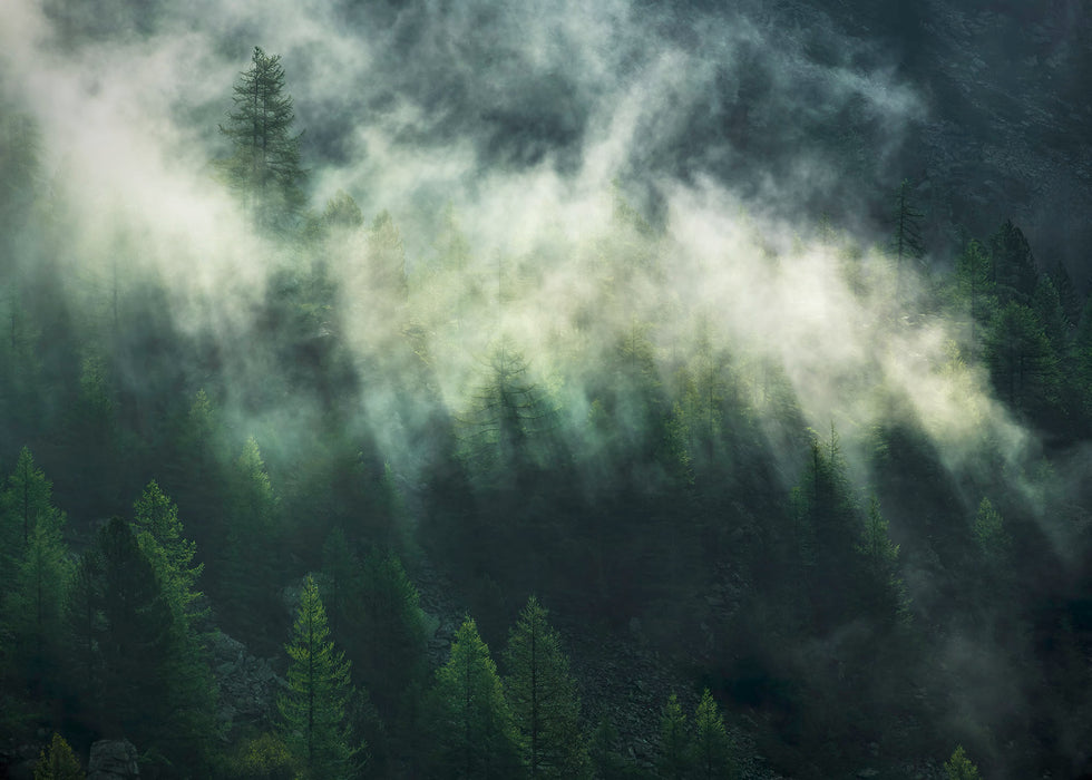 Digitaldruck Vlies Fototapete | Misty Crowns | 350 x 250 cm