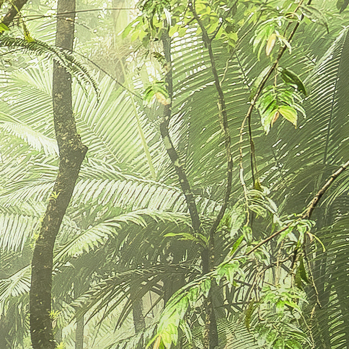 Digitaldruck Vlies Fototapete | Mindfulness | 350 x 250 cm