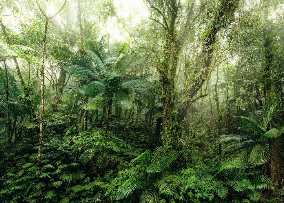 Digitaldruck Vlies Fototapete | Mindfulness | 350 x 250 cm
