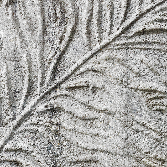 Digitaldruck Vlies Fototapete | Concrete Feather | 350 x 250 cm