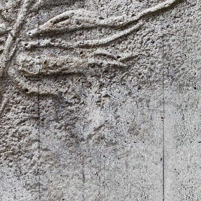 Digitaldruck Vlies Fototapete | Concrete Feather | 350 x 250 cm