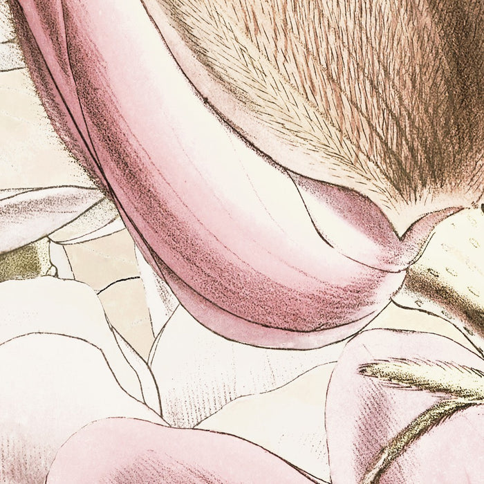 Komar NEU | Digitaldruck Vlies Fototapete - Petals - Größe 350 x 250 cm