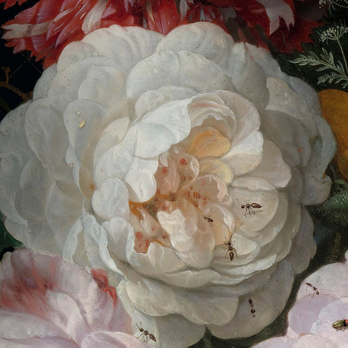 Digitaldruck Vlies Fototapete | Amsterdam Flowers | 350 x 250 cm