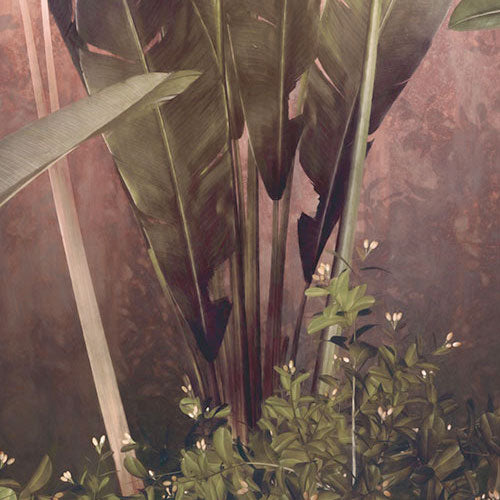 Digitaldruck Vlies Fototapete | Rainforest Mist | 350 x 250 cm