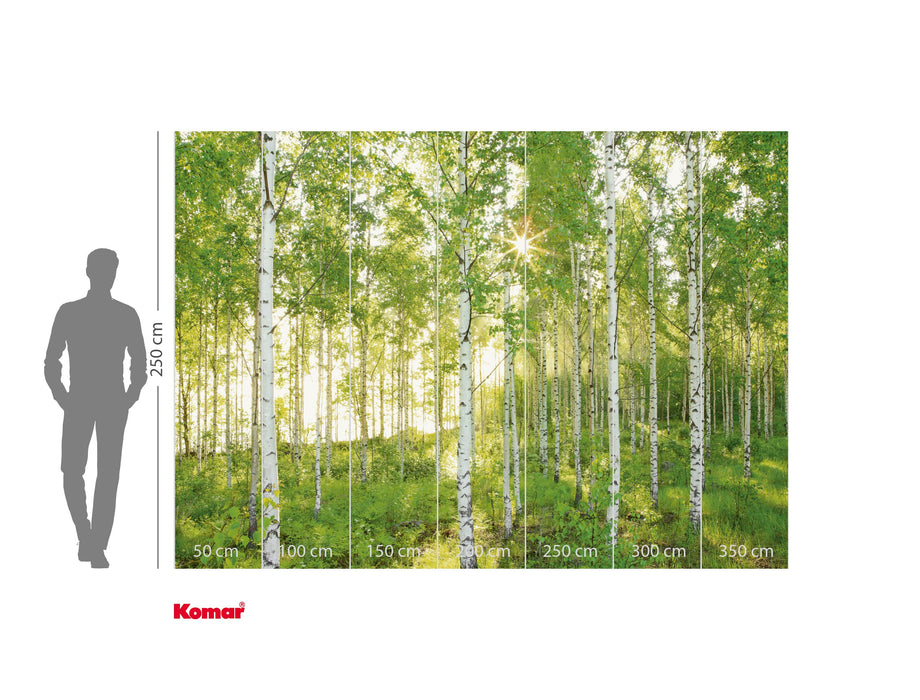 Komar NEU | Digitaldruck Vlies Fototapete - Sunday - Größe 350 x 250 cm