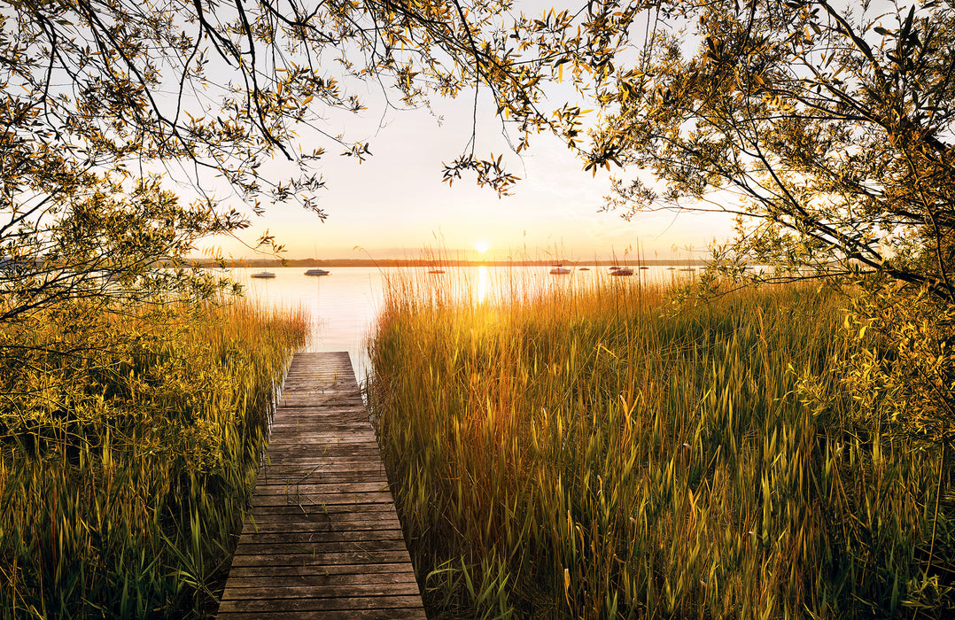 Digitaldruck Vlies Fototapete | Lakeside