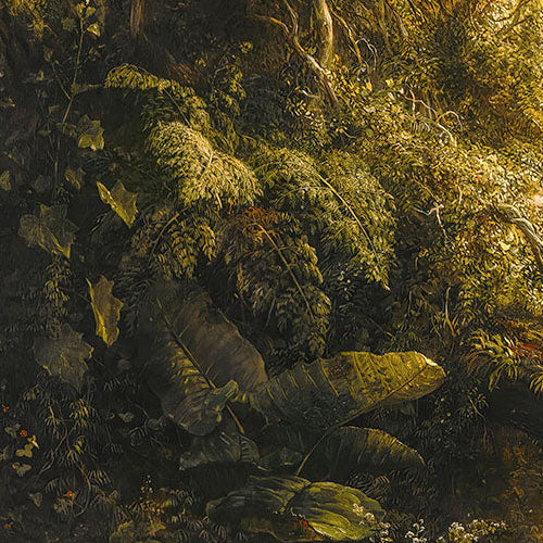 Digitaldruck Vlies Fototapete | Rio de Luz | 400 x 250 cm