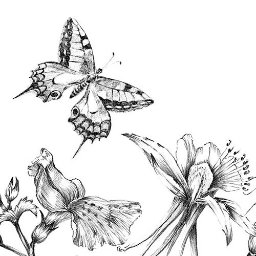 Digitaldruck Vlies Fototapete | Butterfly Field | 400 x 250 cm