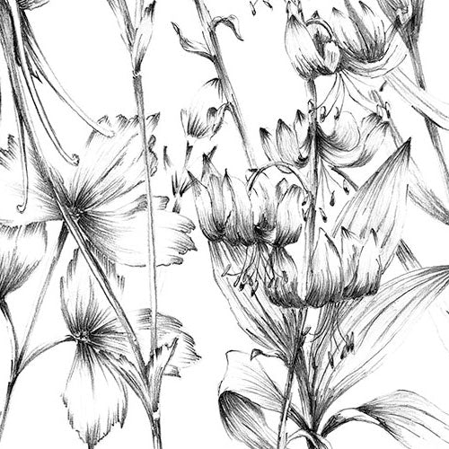 Digitaldruck Vlies Fototapete | Butterfly Field | 400 x 250 cm