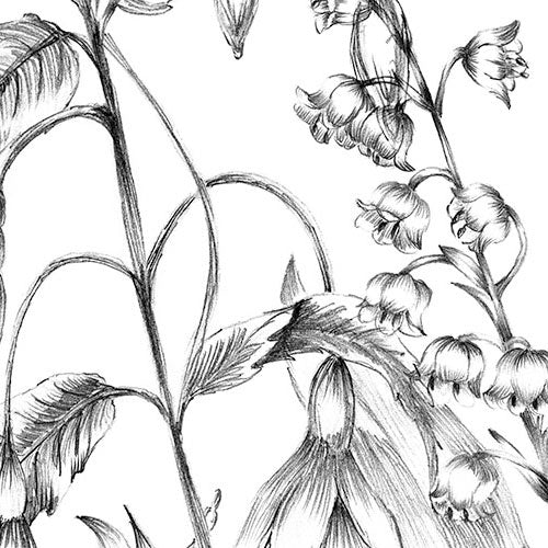 Digitaldruck Vlies Fototapete | Butterfly Field | 400 x 250 cm