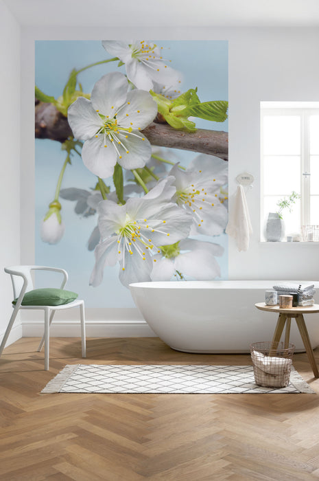 Vlies Fototapete | Blossom | 184 x 248 cm