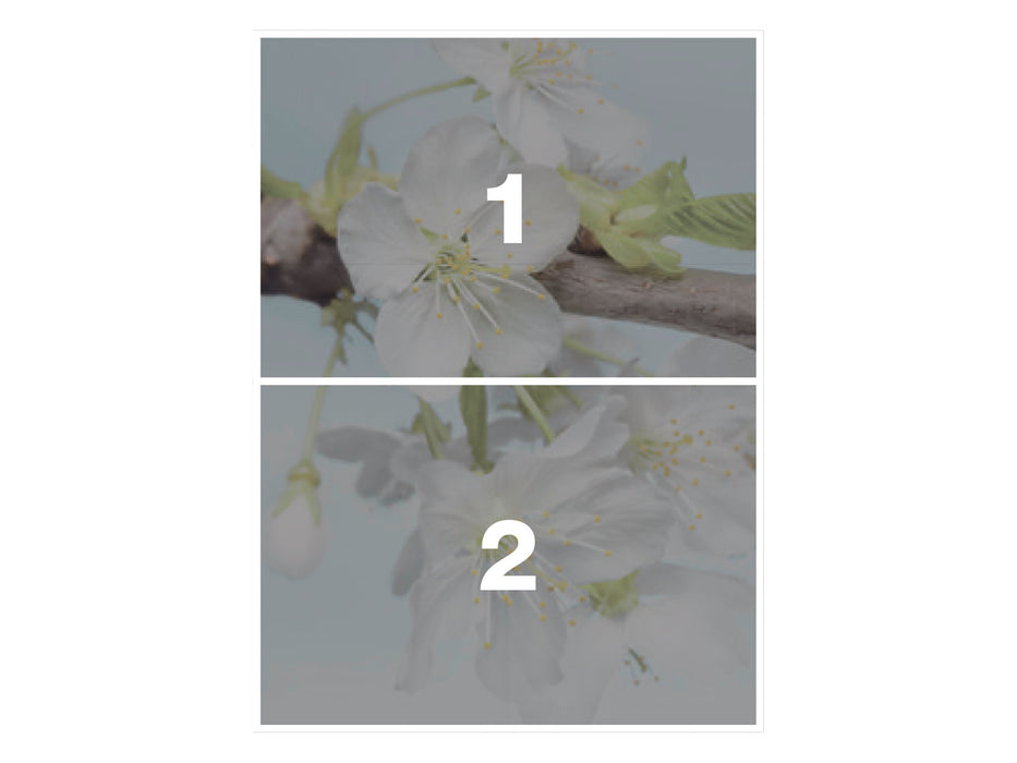 Vlies Fototapete | Blossom | 184 x 248 cm