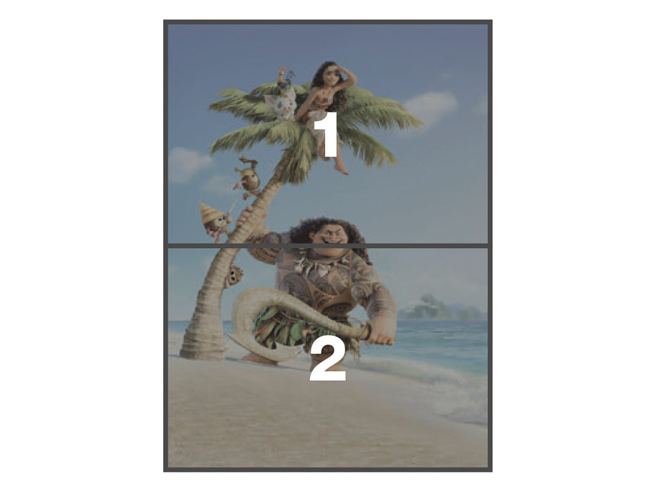 Vlies Fototapete | Moana and Maui | 184 x 248 cm