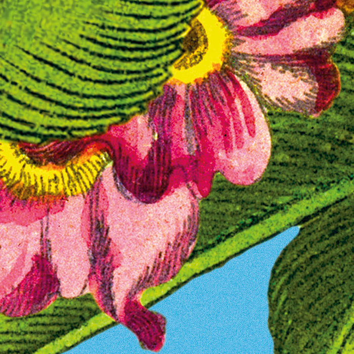 Vlies Fototapete | Jardin | 368 x 248 cm