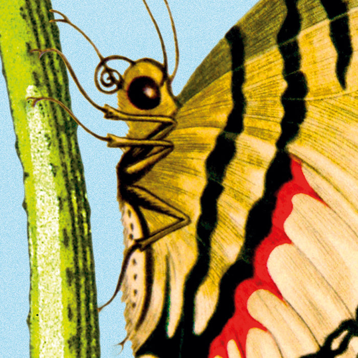 Vlies Fototapete | Jardin | 368 x 248 cm