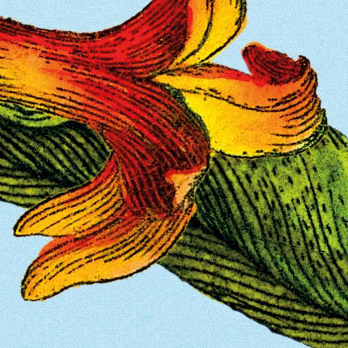 Vlies Fototapete | Jardin | 368 x 248 cm