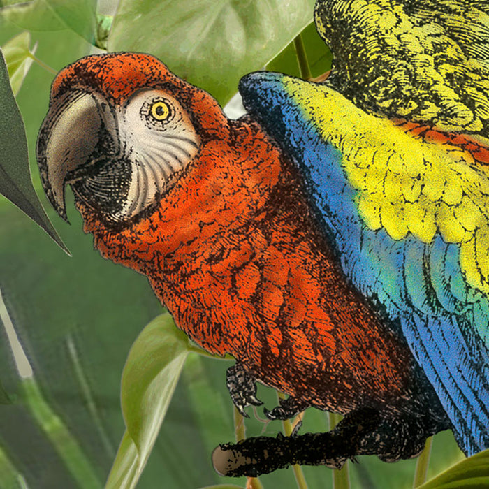 Vlies Fototapete | Into the Wild | 368 x 248 cm