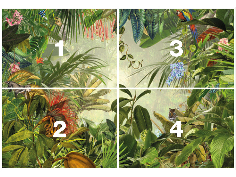 Vlies Fototapete | Into the Wild | 368 x 248 cm