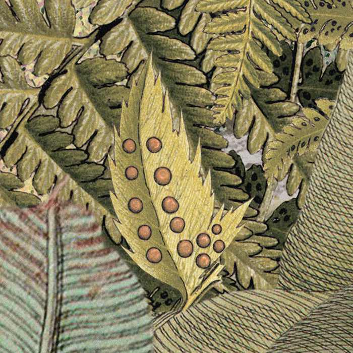 Komar NEU | Vlies Fototapete - Amazonia - Größe 368 x 248 cm