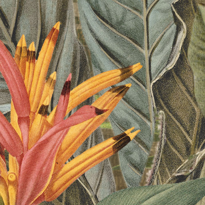 Komar NEU | Vlies Fototapete - Amazonia - Größe 368 x 248 cm