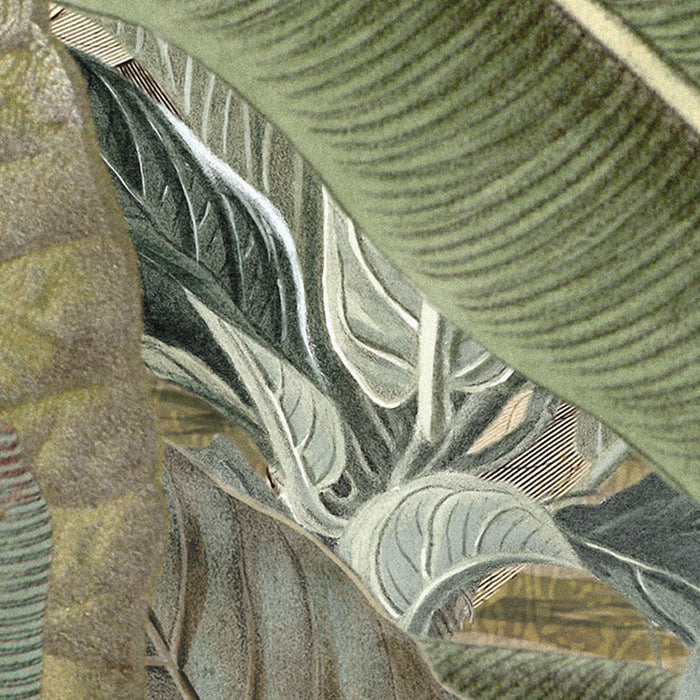 Komar NEU | Vlies Fototapete - Amazonia - Größe 368 x 248 cm