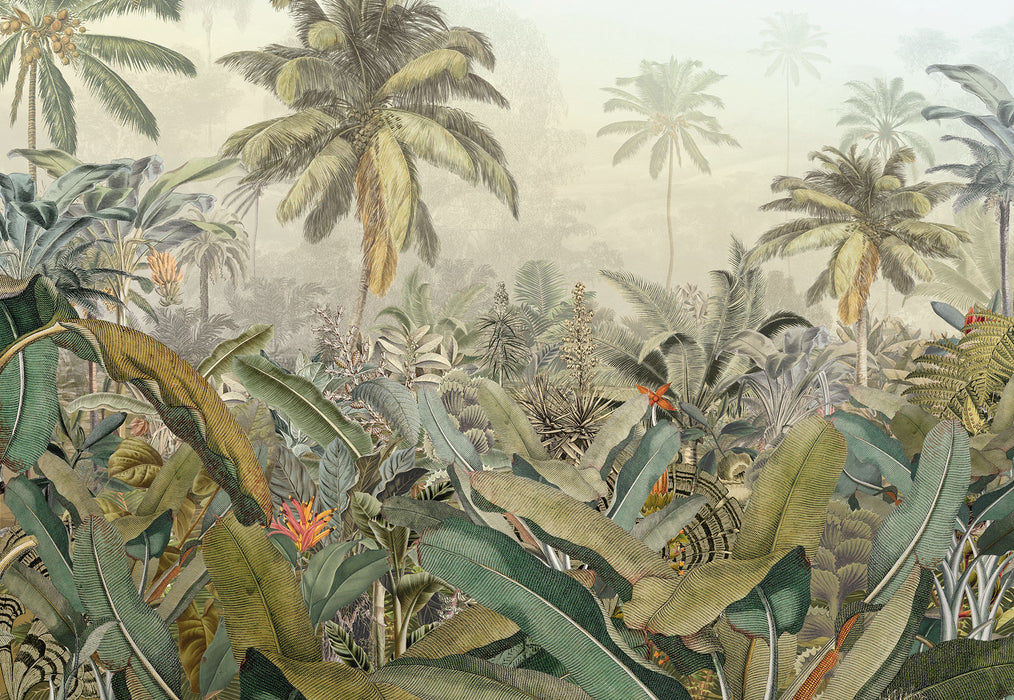 Vlies Fototapete | Amazonia | 368 x 248 cm