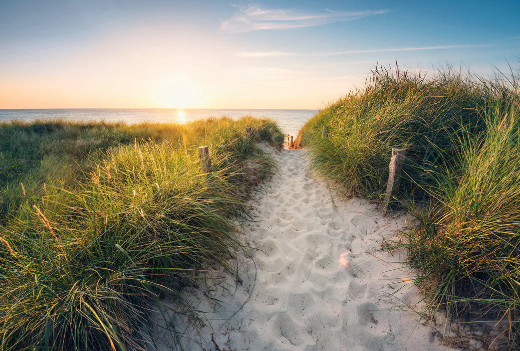 Vlies Fototapete | Way to the Beach | 368 x 248 cm