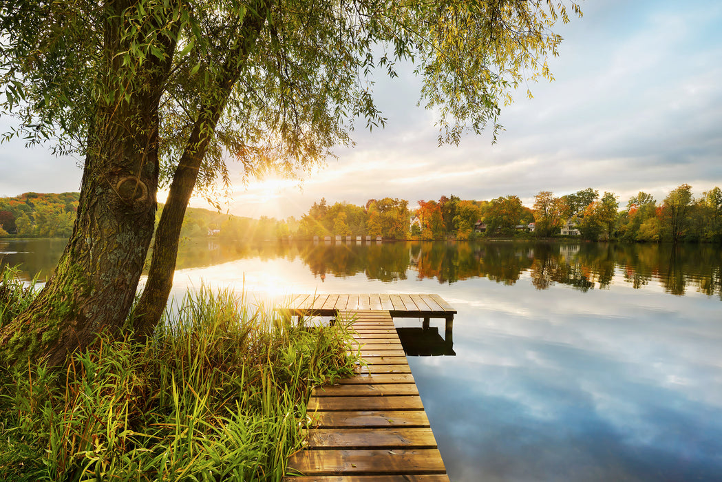 Vlies Fototapete | Picnic | 368 x 248 cm