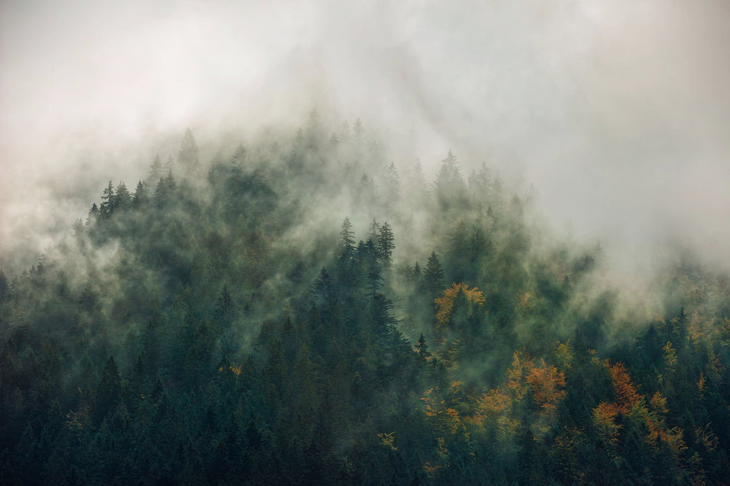 Vlies Fototapete | Tales of the Carpathians | Größe 300 x 200 cm