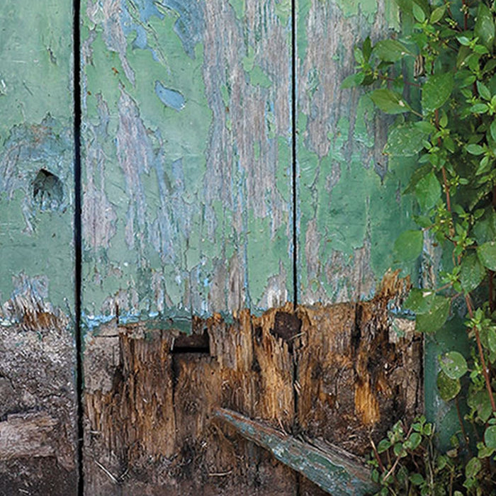 Vlies Fototapete | Gartentür | Größe 100 x 280 cm