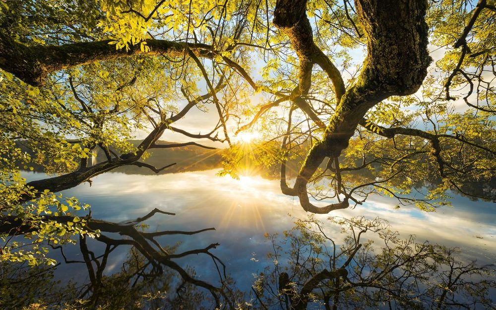 Vlies Fototapete | Golden Embrace | Größe 400 x 250 cm