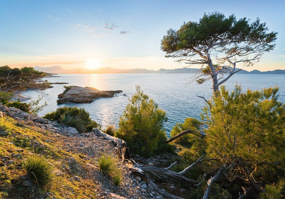 Vlies Fototapete | Licht des Südens | Größe 400 x 280 cm