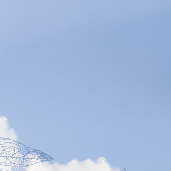 Vlies Fototapete | Blue Sky | Größe 400 x 250 cm