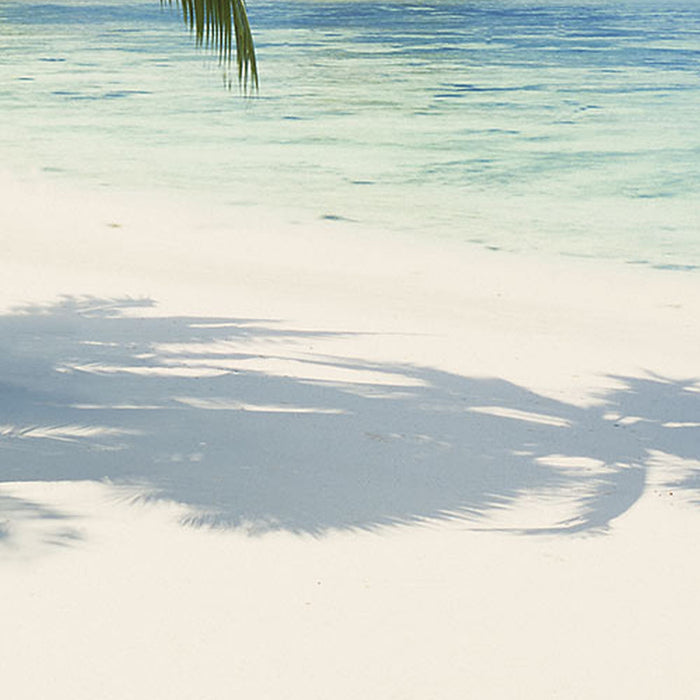 Vlies Fototapete | Coconut Bay | Größe 100 x 280 cm