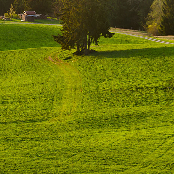 Komar | Vlies Fototapete | Paradiesisches Bayern | Größe 450 x 280 cm
