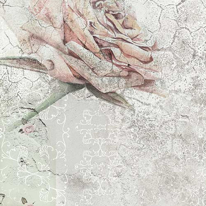 Vlies Fototapete | Tantinet | Größe 400 x 260 cm