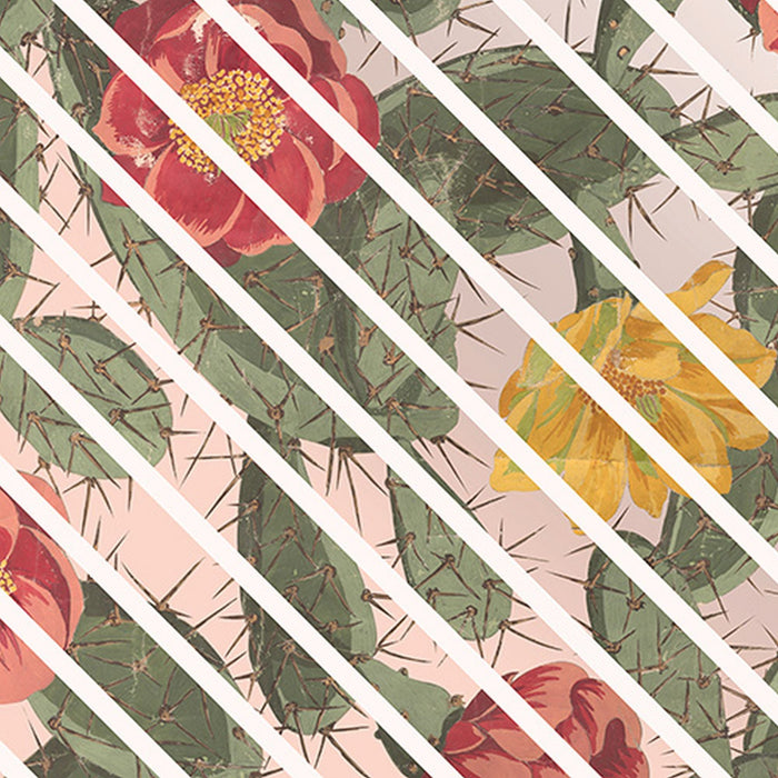 Vlies Fototapete | Cactus | Größe 300 x 280 cm