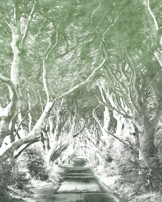 Vlies Fototapete | Alley Graphite | Größe 200 x 250 cm