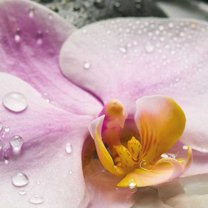 Vlies Fototapete | Wellness | Größe 100 x 280 cm